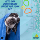 Judi Pets