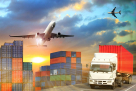 Eye Link Cargo