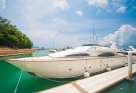 Sea Hawks Leisure Yatchs & Boats Rental
