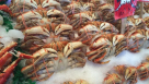 Hao Xian Sheng Foodstuff Trading