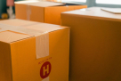 L T S International Logistic