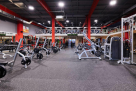 Wellfit Mind & Body