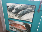 Khalid Abdeen Fish Trading