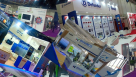 Exhibitions Roots