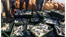 Emerald Foodstuff Trading