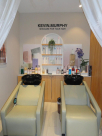 Shimmer & Shine Salon