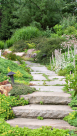 Meadows Plants Landscape Works