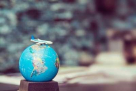 Al Qusais Travels