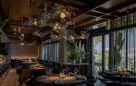 Cutfish Dubai