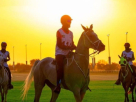 Dubai Equestrian Club
