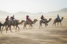 Tanit Travel