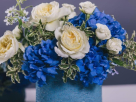 Darcey Flowers