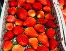 Tolo ​mini Mart