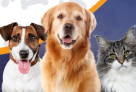 Paws Family Veterinary Clinic