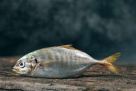 Obaid Khamis Mubarak Fish Stall