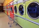 Daisy Laundry