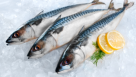 Ahmed Khalifa Fish Stall