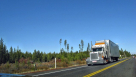 Muhammad Zaheer Transport By Heavy & Light Trucks
