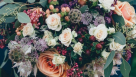Izhan Flowers And Plants