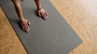 Lemuria Fitness