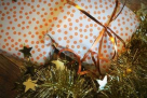 Tu Tu Bunny Gifts Trading