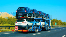 Poriya Hajizadeh Customs Brokers