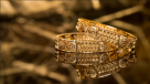 Golden Leaf Jewellery
