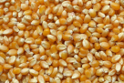 Tanha Foodstuff Trading