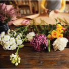 YELLOW TULIP FLOWERS TRADING