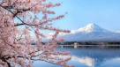 Japan National Tourism Organization