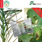 Agricultural Materials Company