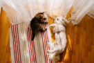 Pawsome Friends