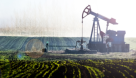Fco Oil Field Services