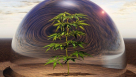 Green Vision Consultants