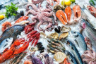 The Deep Seafood Company