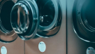 Seagull Laundry