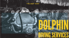 Dolphin Diving Services