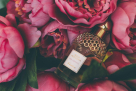 Hamidi Oud & Perfumes