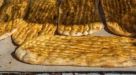 Ghairatullah Mohammad Bakery