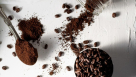 Coterra Coffee Roasters