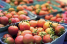 Alkawthar Food Trading