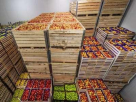 Aloko Farm General Trading