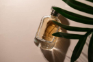 Desert Breeze Fragrances