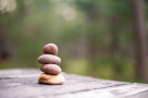 Ayurveda R Us