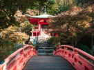 Hui Ren International Travel And Tour
