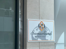 Samarkand International Trading