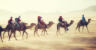 Darwish Bin Ahmed Travel L.L.C