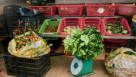 Prelibato Food Trading