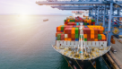 Mohammed Al Alam Trading