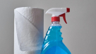 Happy Maids Cleaning Services